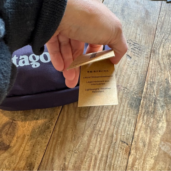 NWT PATAGONIA LW TRAVEL MINI HIP PACK - Picture 3 of 6